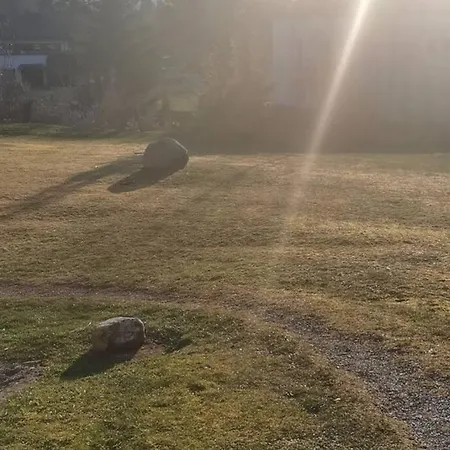 Fewo-mitten In Schwarzwald *